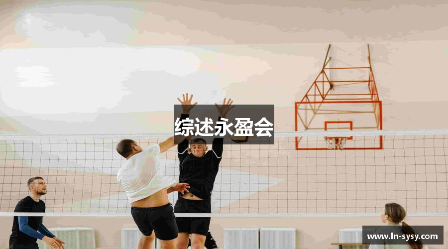 综述永盈会